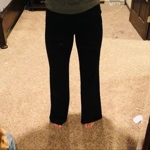 Express Dress Pants